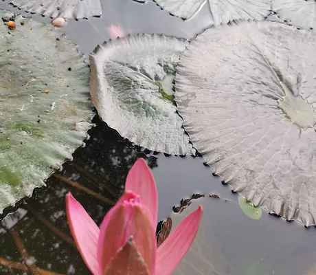 Slow You Down Candlelight yoga